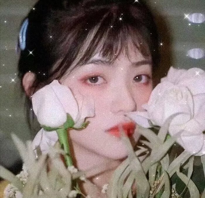 安娜与暹罗王